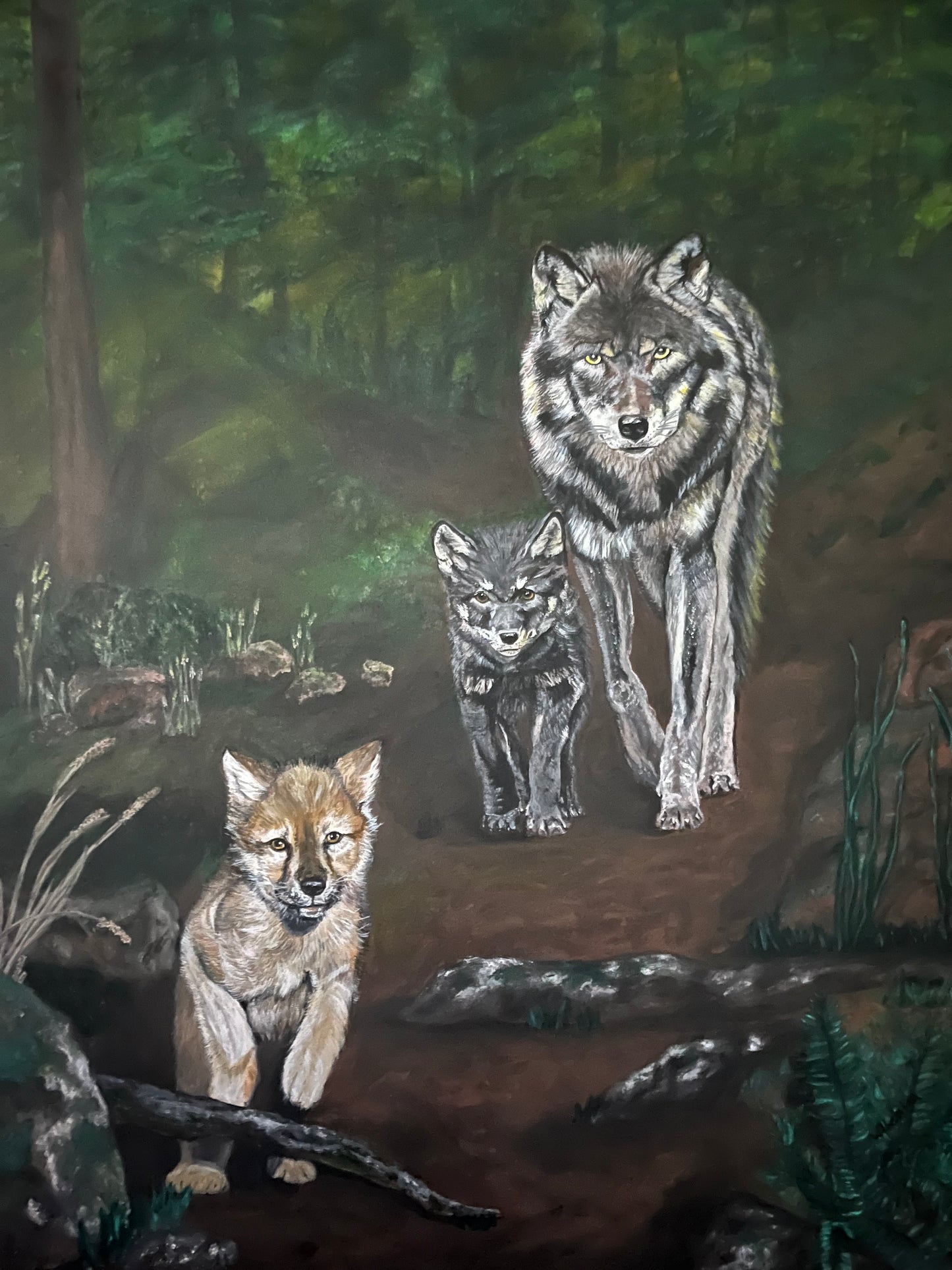 Guidance - Wolves