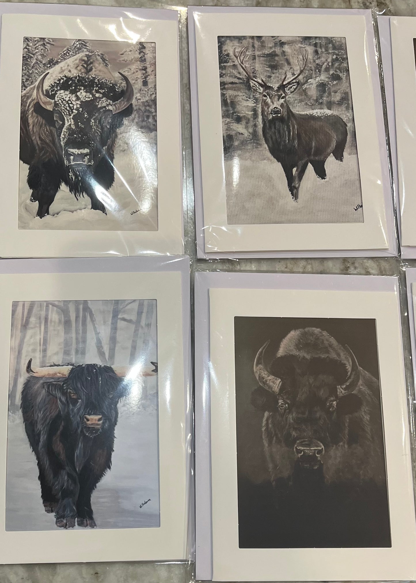 "Bull Steady"