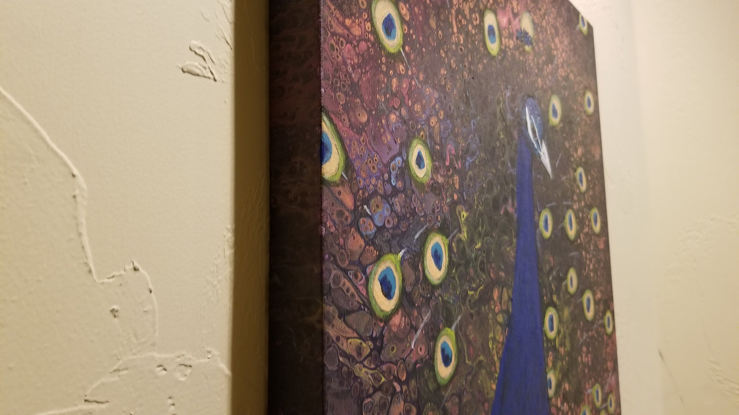 Keen Vision - Peacock
