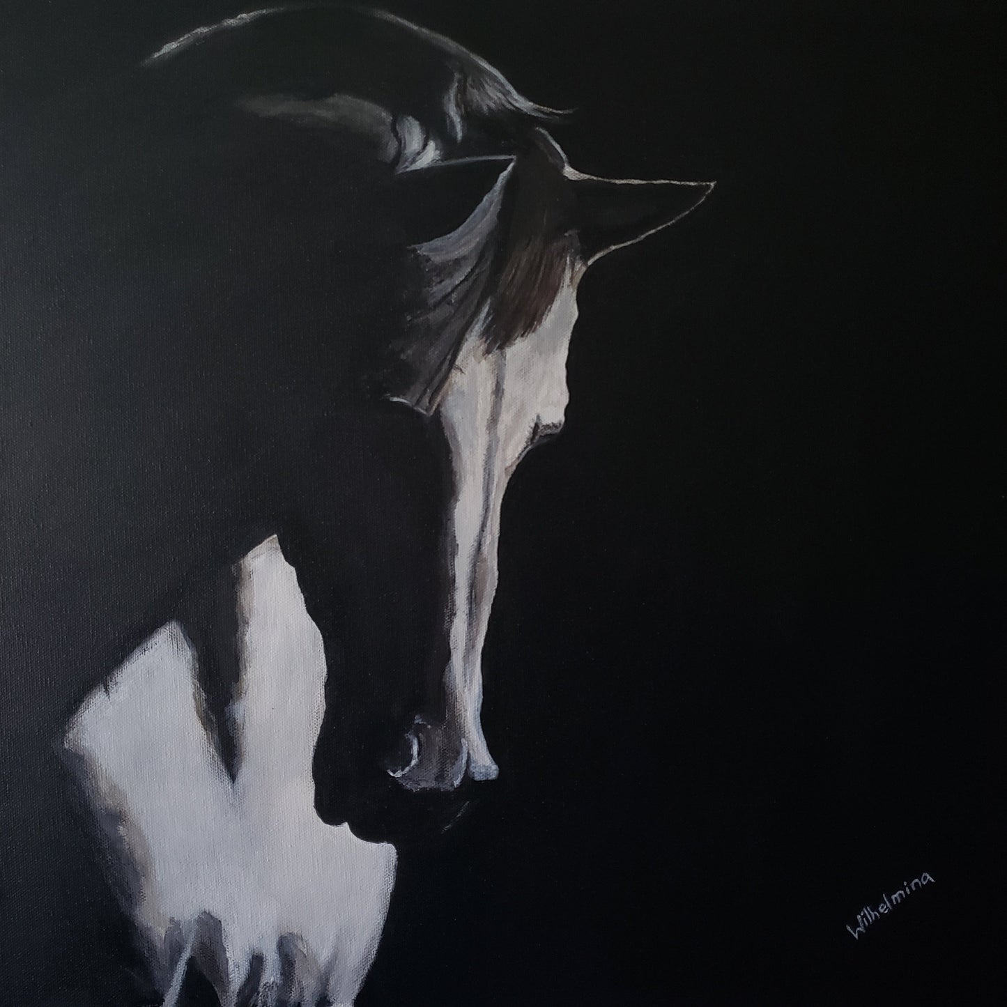 Nightfall II- horse