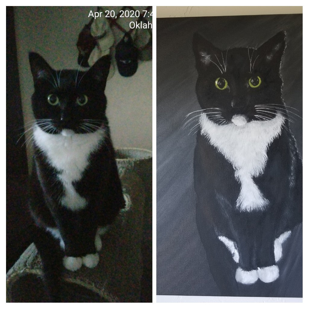 Pet Portraits