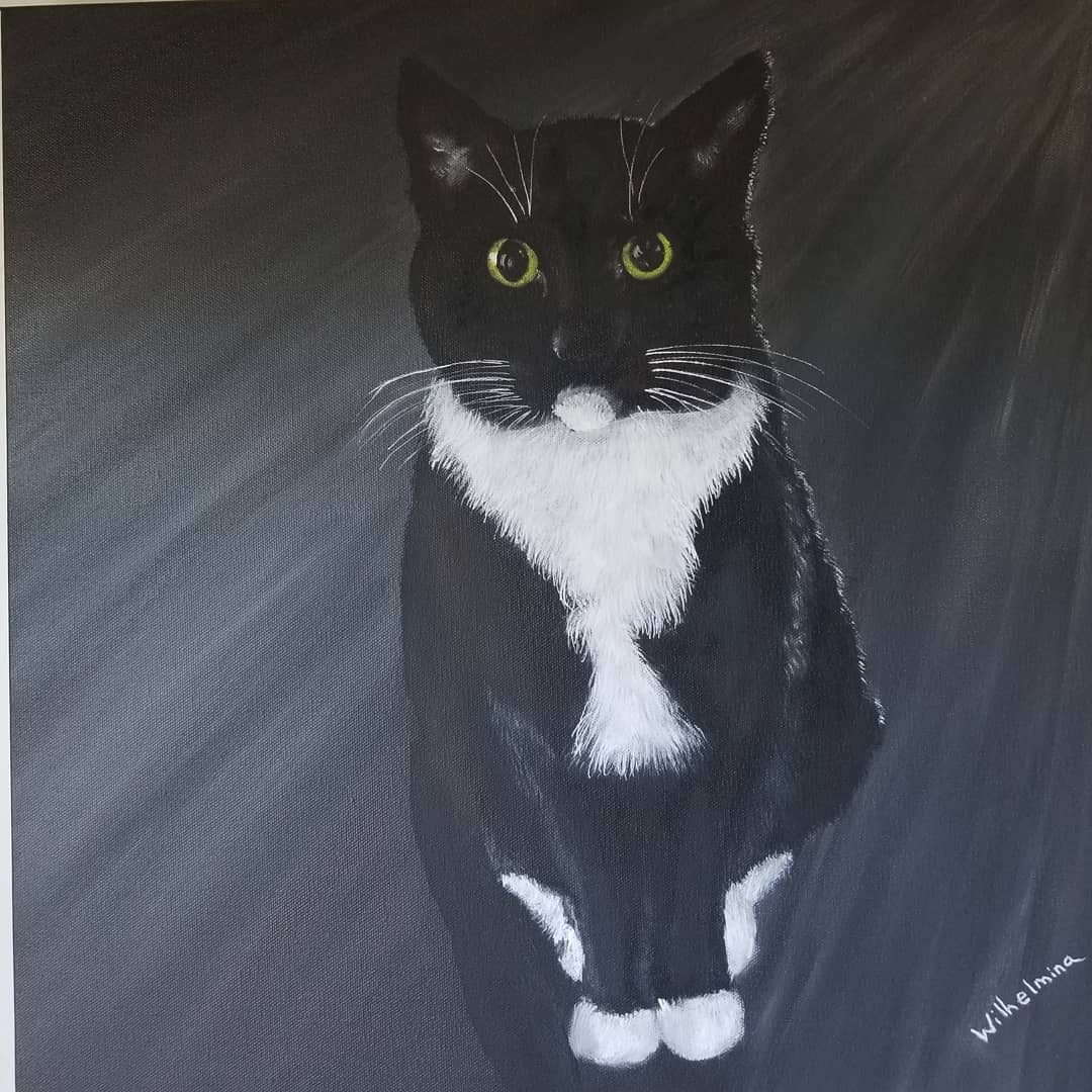 Pet Portraits
