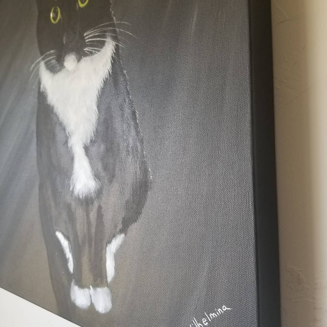 Pet Portraits
