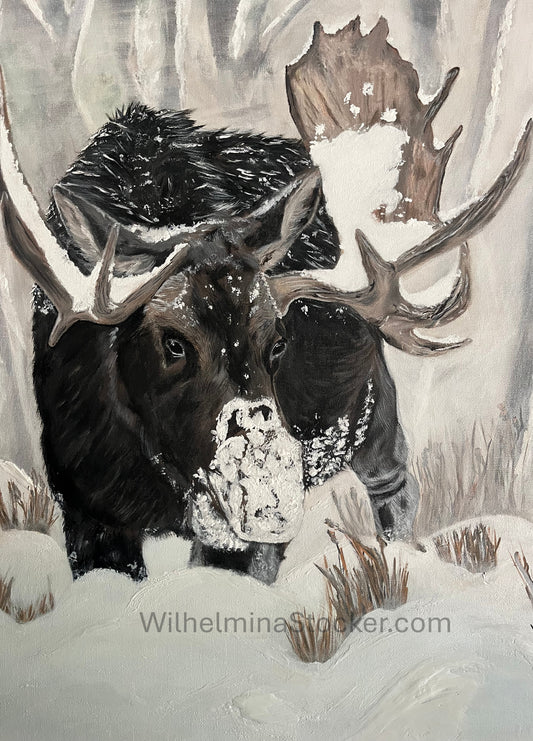 Unstoppable - Stillness Within Series