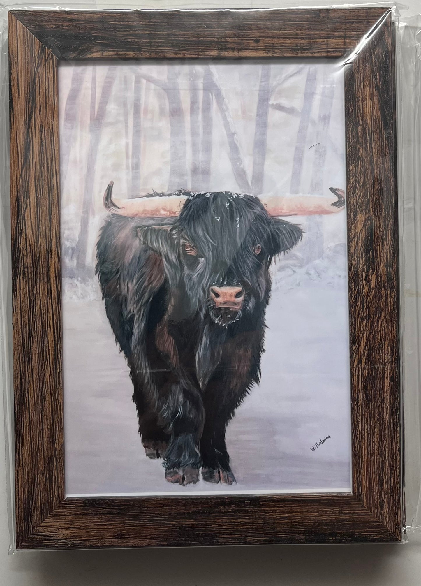 Framed prints