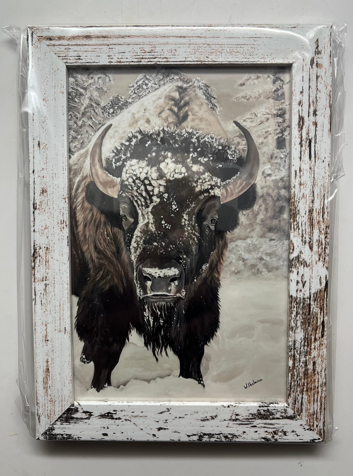 Framed prints