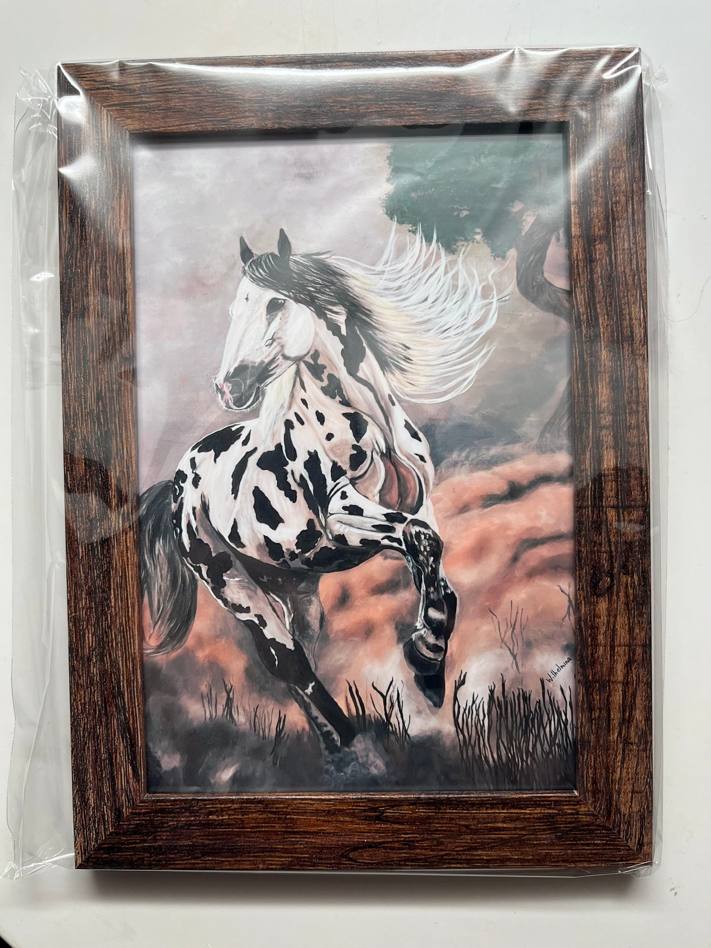 Framed prints