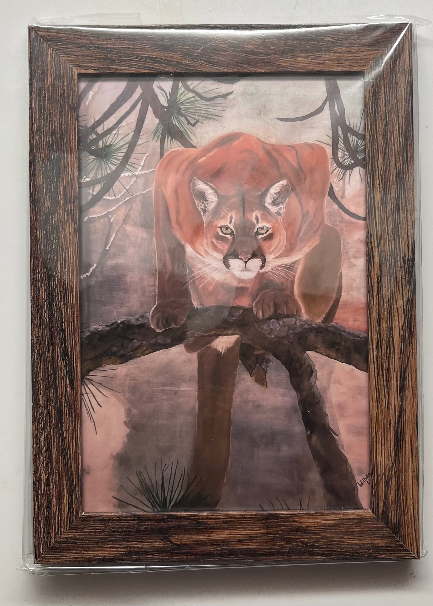 Framed prints