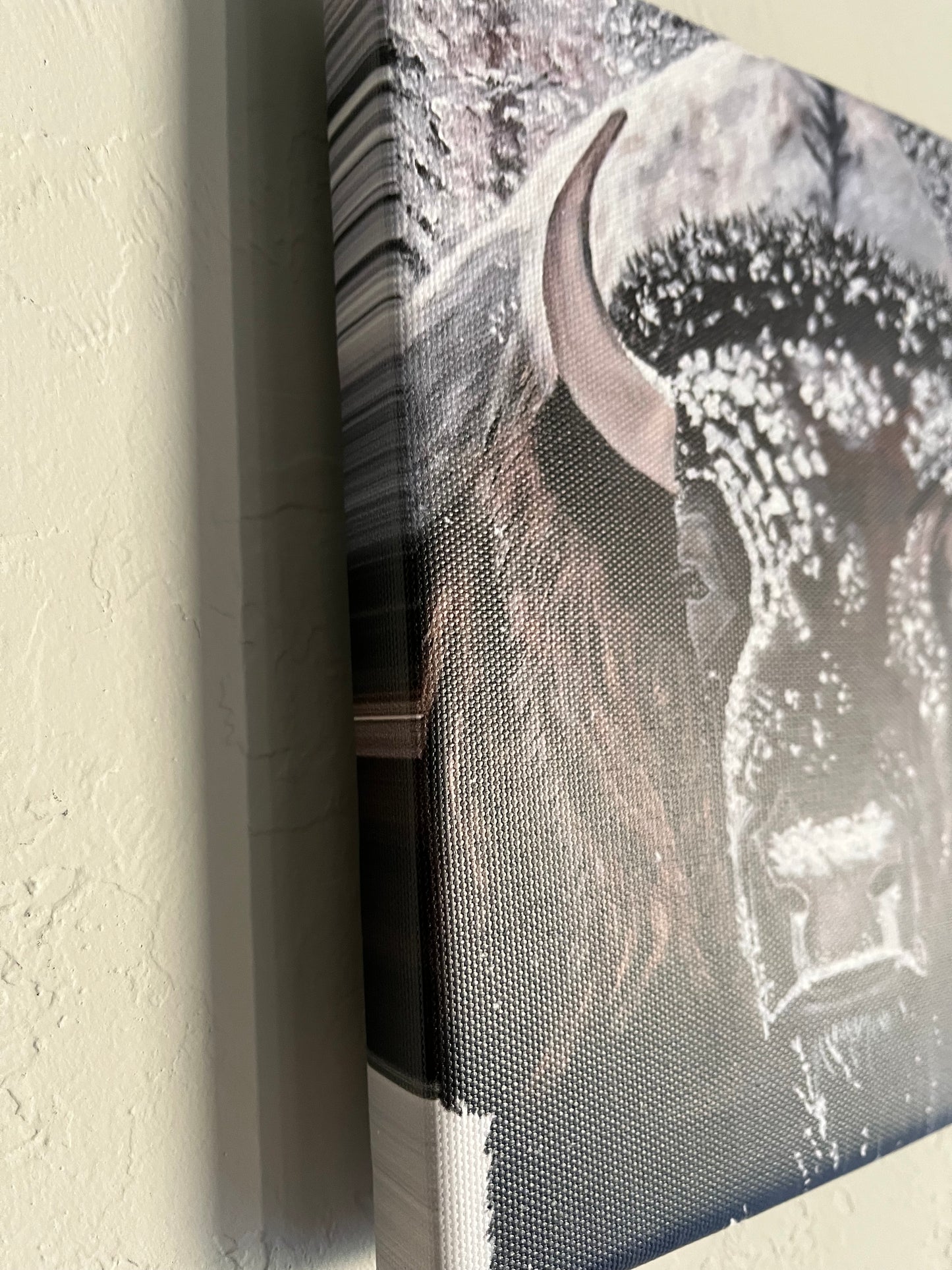 Ordinance II - Bison painting