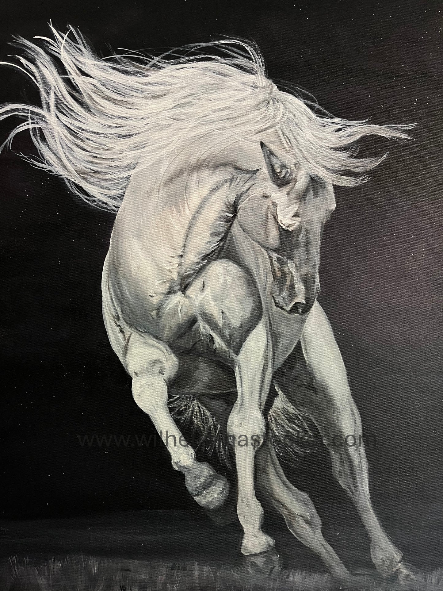"Truly Driven" - White Horse