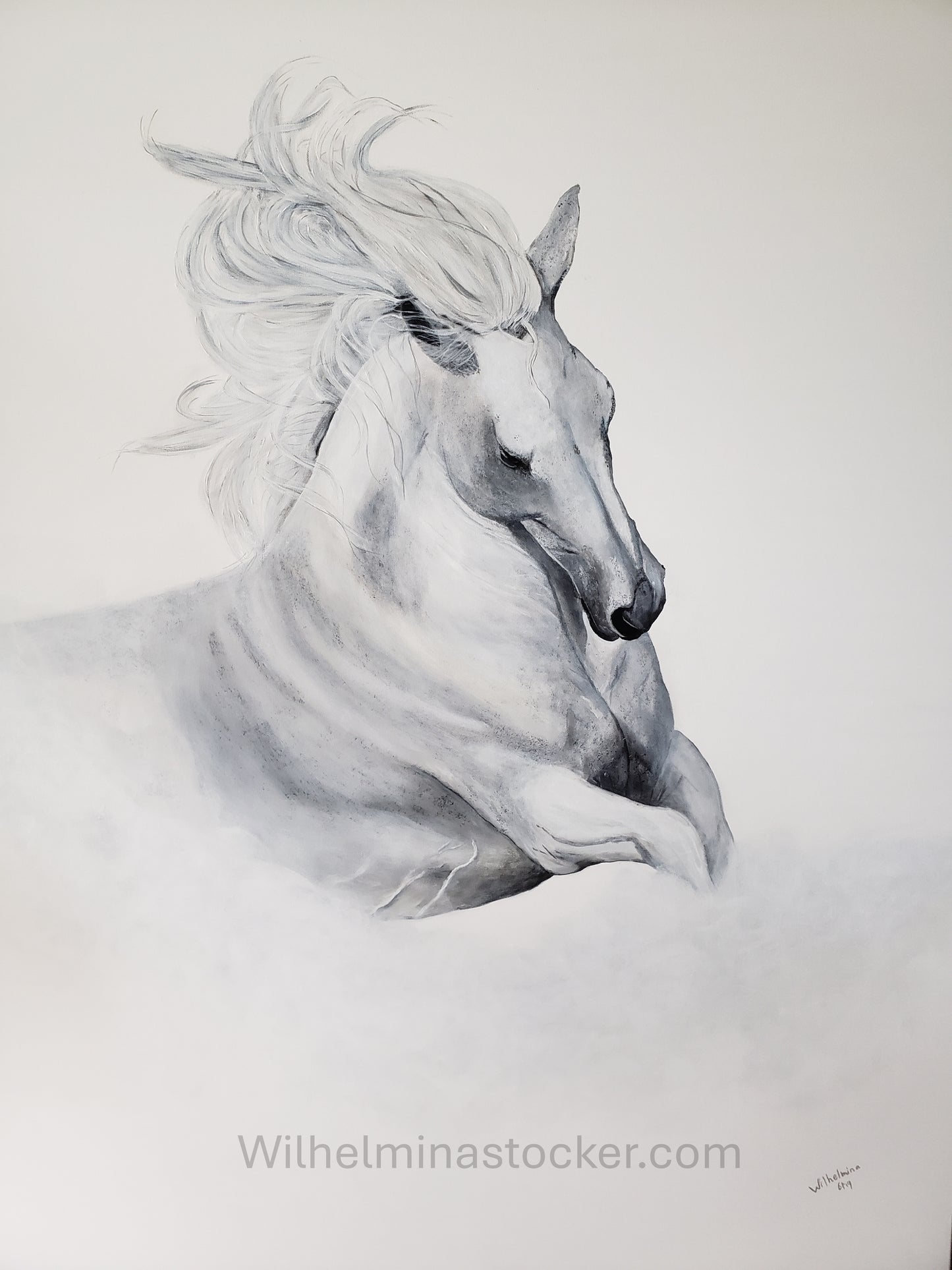 Bliss - White Horse Painting