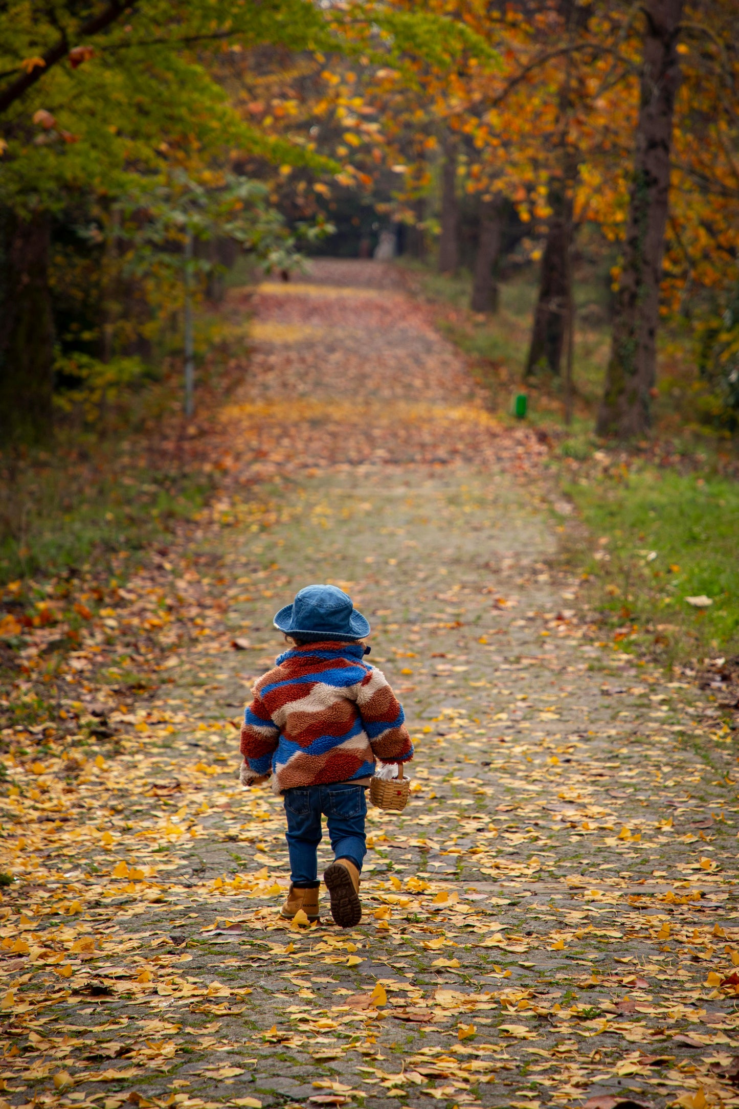 Schedule your appointment; Reading/hypnosis/coaching