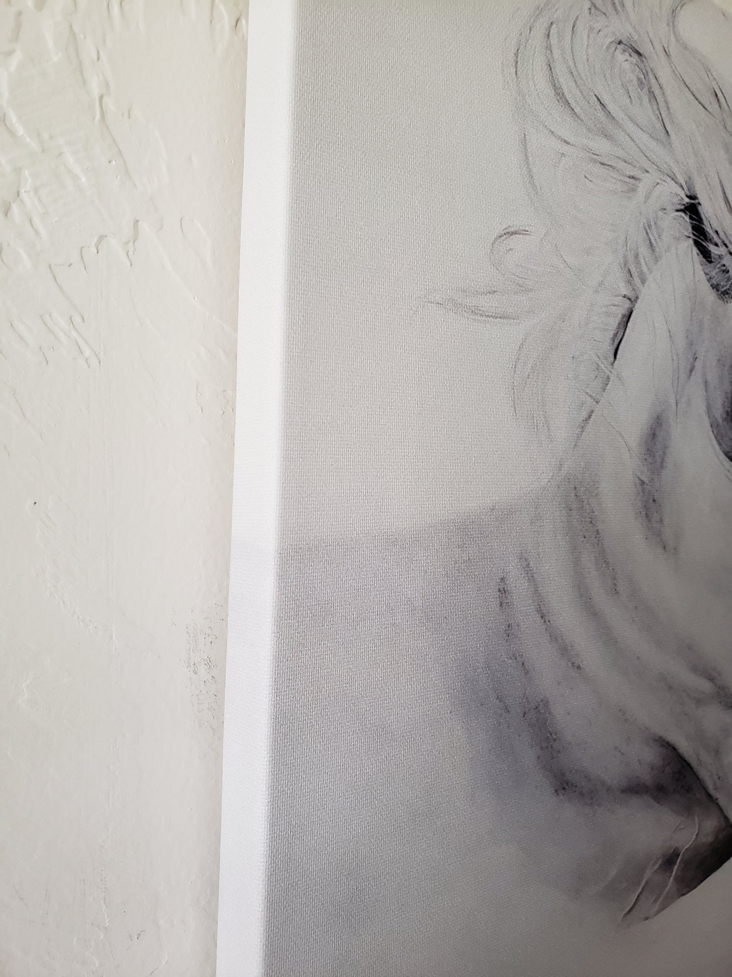 Bliss - White Horse Painting