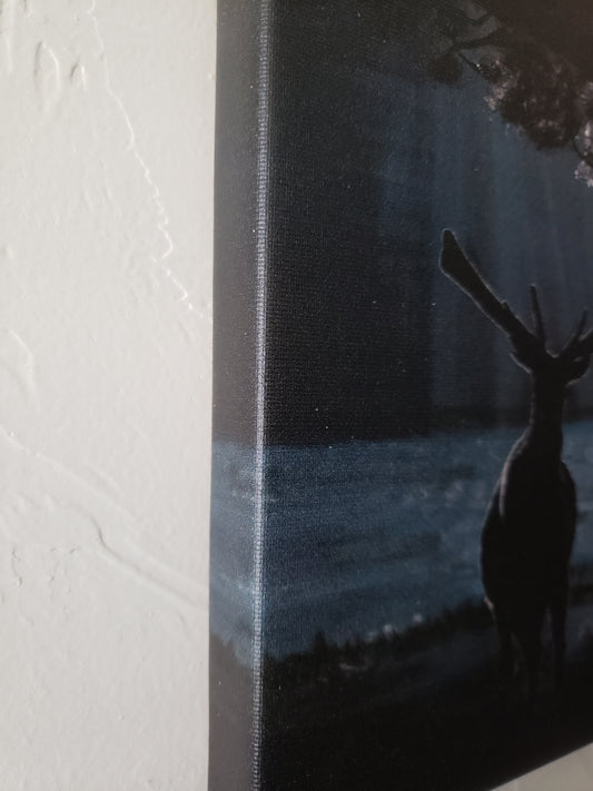 "Rays" Canvas Print