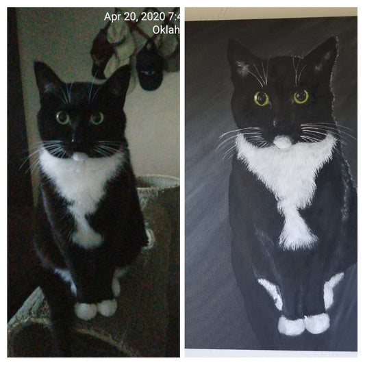 Pet Portraits